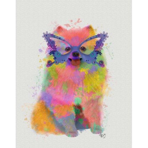 Rainbow Splash Pomeranian