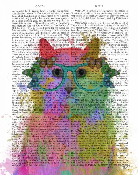 Rainbow Splash Cat 3, Portrait
