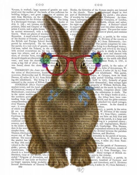 Rabbit and Flower Glasses