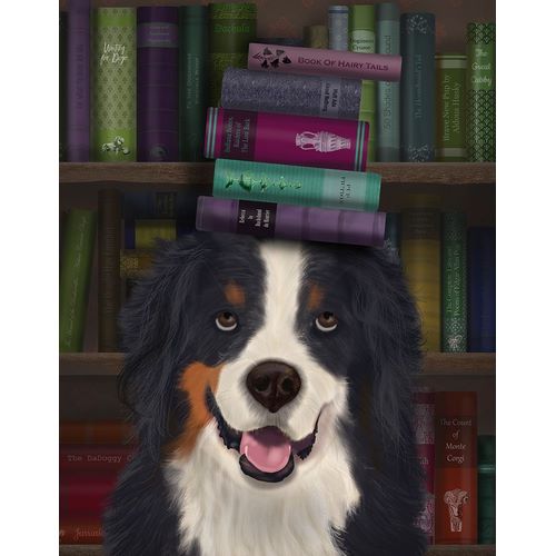 Bernese and Books