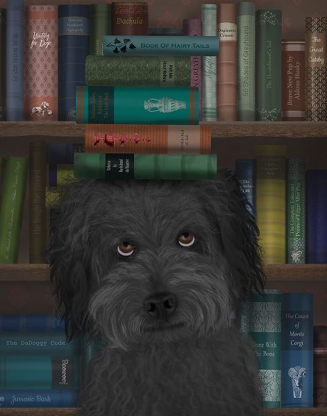 Labradoodle, Black, and Books