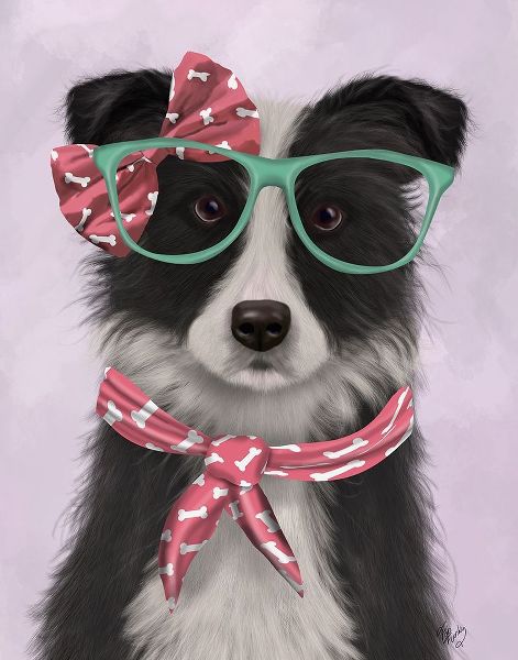 Border Collie, Black and White, with Glasses and Scarf