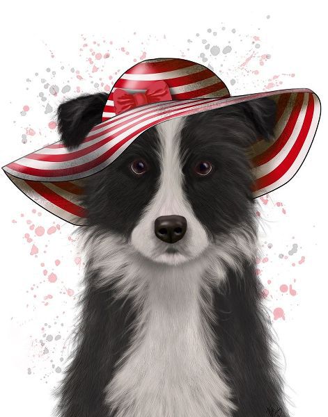 Border Collie in Red and White Floppy Hat