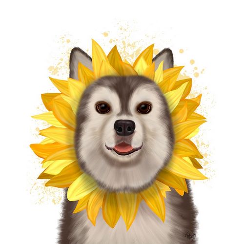 Husky Sunflower