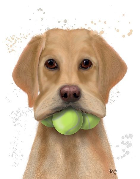 Yellow Labrador and Tennis Balls