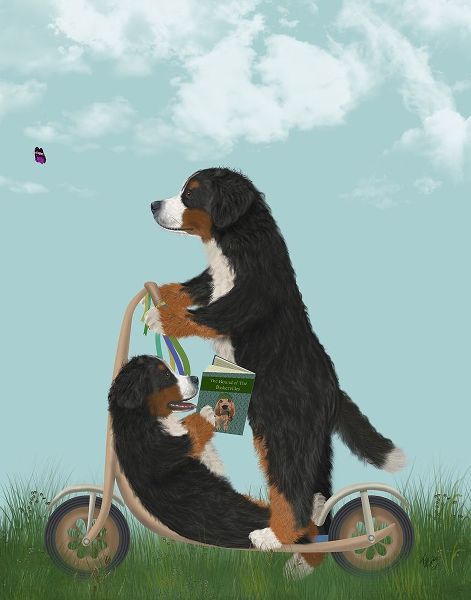 Bernese Scooter