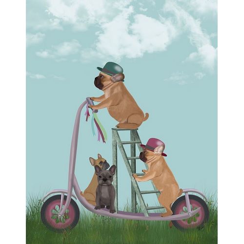 French Bulldog Scooter