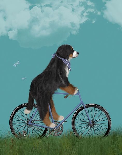 Bernese on Bicycle - Sky