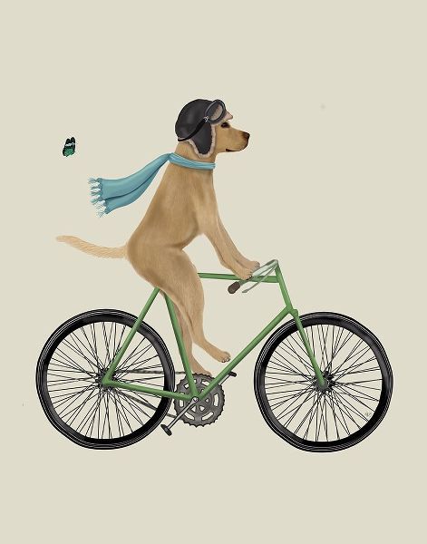 Yellow Labrador in Flying Helmet on Bicycle