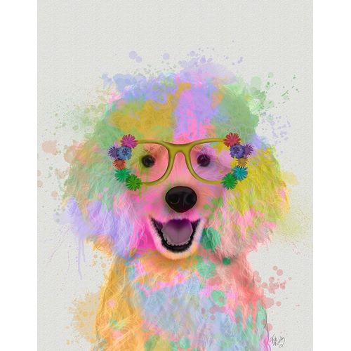 Poodle Rainbow Splash
