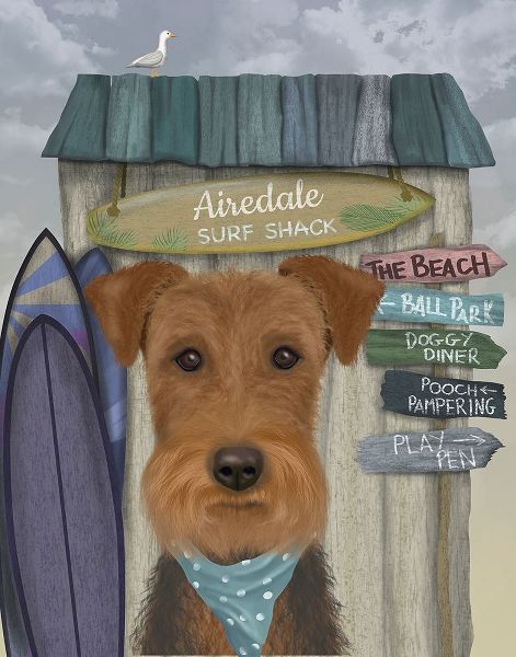Airedale Surf Shack
