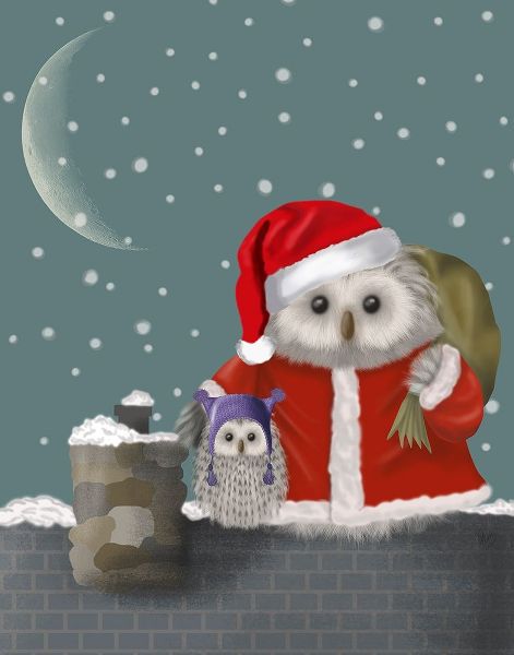 Christmas Santa Owl