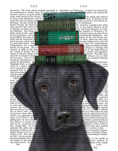 Black Labrador and Books