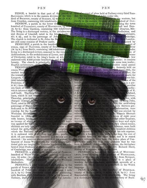 Border Collie, Black and White, and Books