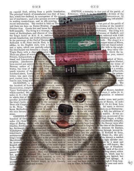Husky and Books