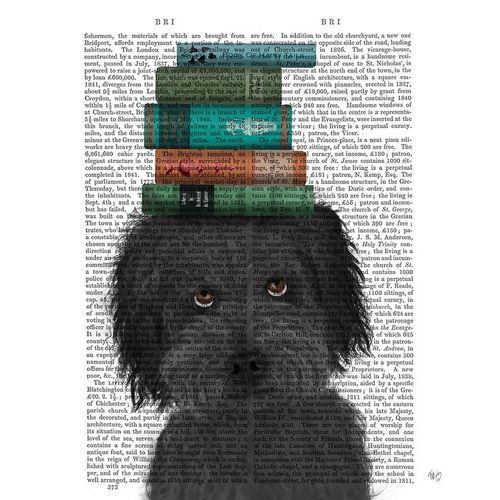 Labradoodle, Black, and Books