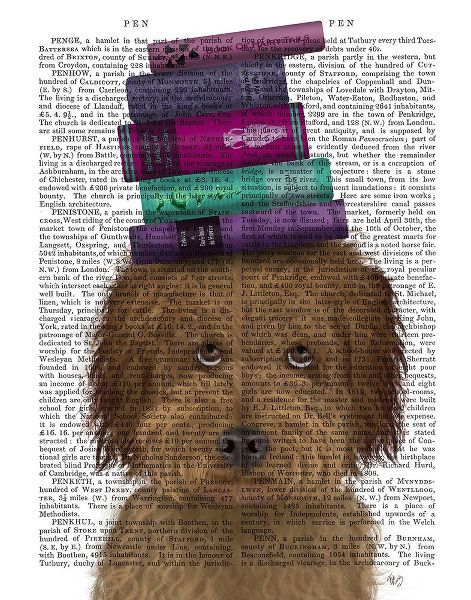 Labradoodle, Brown, and Books