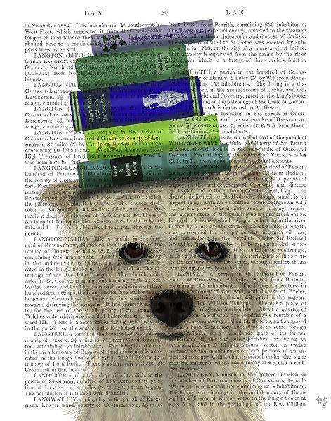 Westie and Books