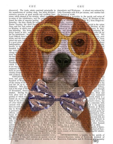 Beagle with Glasses and Bow Tie