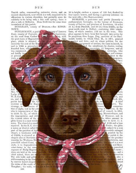 Chocolate Labrador with Glasses and Scarf