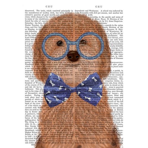 Cockerpoo, Apricot, with Glasses and Bow Tie