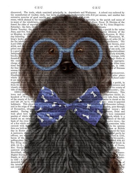 Cockerpoo, Black, with Glasses and Bow Tie