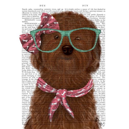 Cockerpoo, Chocolate, with Glasses and Scarf