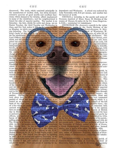 Golden Retriever, Glasses and Bow Tie