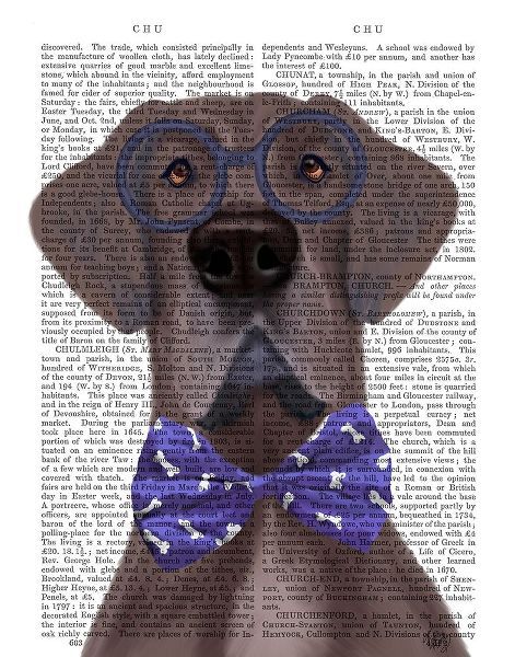 Great Dane with Glasses and Bow Tie