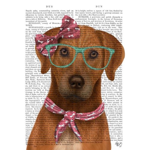Rhodesian Ridgeback with Glasses and Scarf