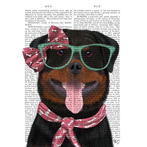 Rottweiler with Glasses and Scarf