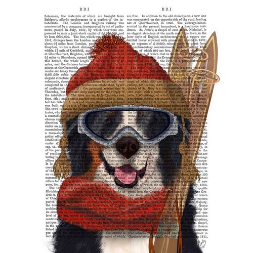 Bernese Ski Dog