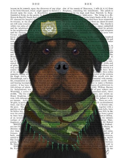 Rottweiler Military Dog