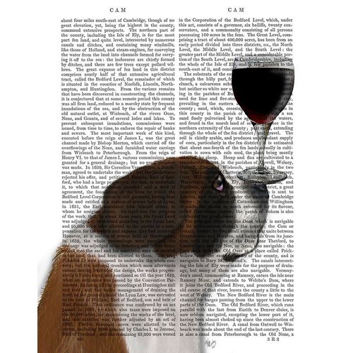 Dog Au Vin, St Bernard