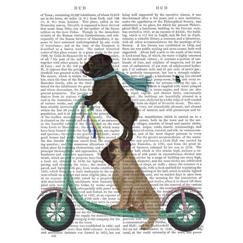 Pug Scooter