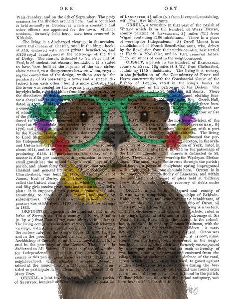 Otter and Flower Glasses