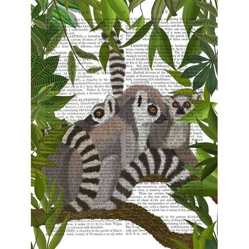 Lemur Family in Canopy