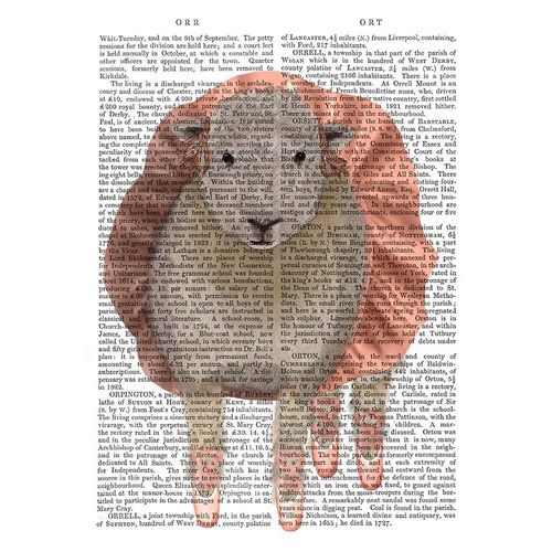 Ballet Sheep 1 Book Print