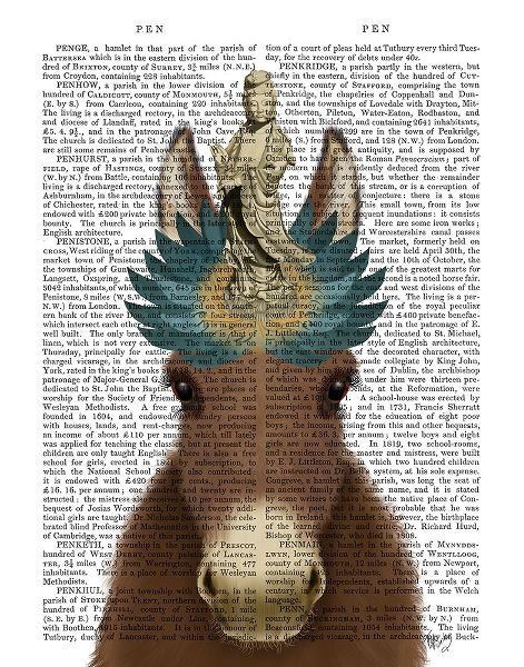 Donkey Bodhisattva Book Print