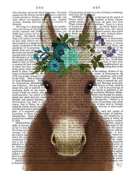 Donkey Bohemian 3 Book Print