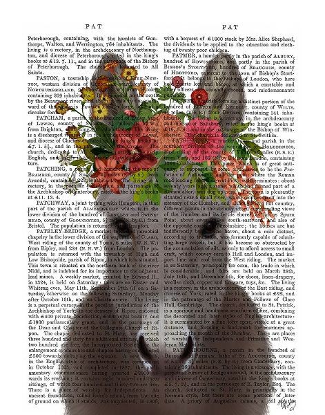 Donkey Bohemian 4 Book Print