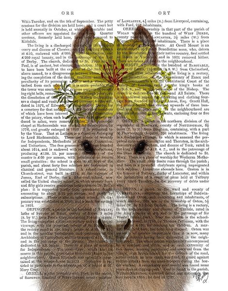 Donkey Sunflower Book Print