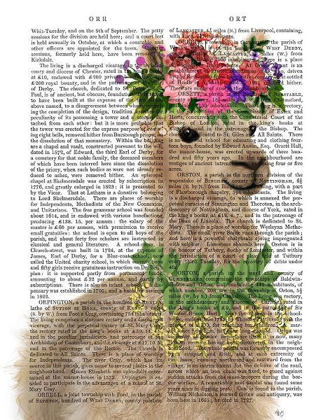 Llama Bohemian 2 Book Print