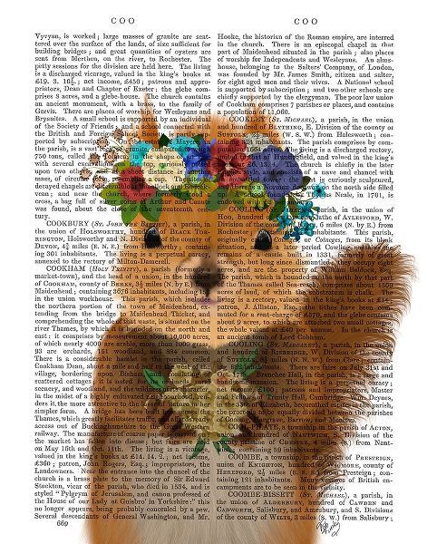 Squirrel Bohemian Book Print