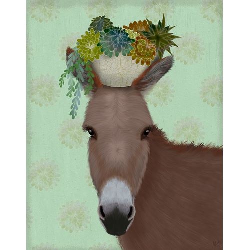 Donkey Succulent