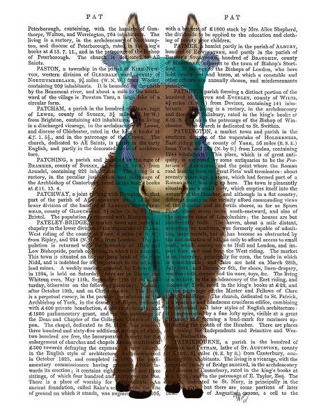Donkey Blue Hat and Scarf Book Print