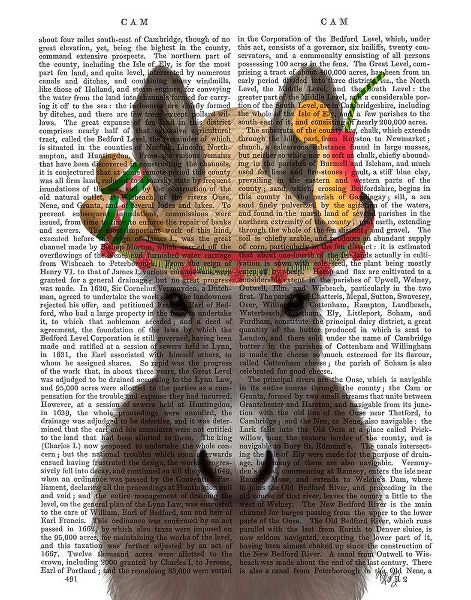 Donkey Sombrero Book Print