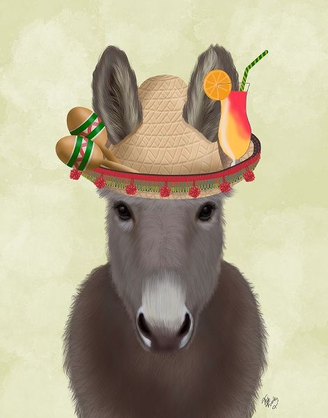 Donkey Sombrero