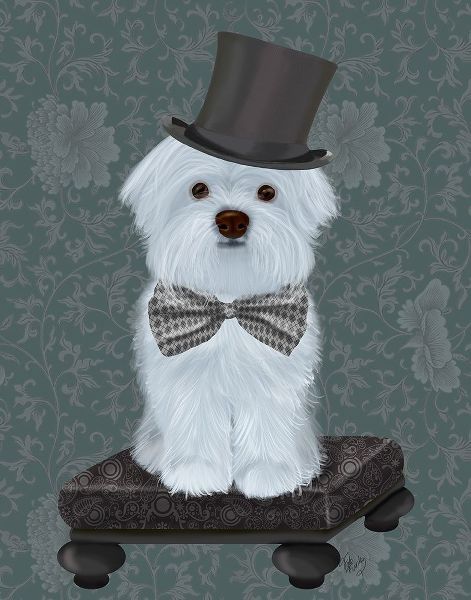Maltese with Top Hat