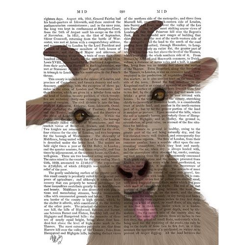 Funny Farm Goat 2 Book Print